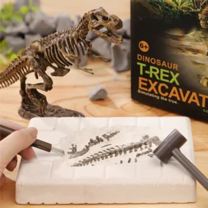 Fossil Excavation Dig
